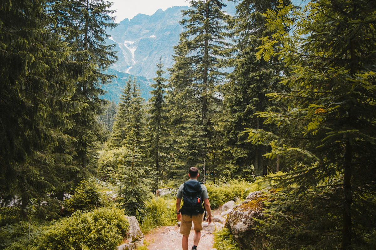 A person walking along a quiet, tree-lined path,
          moving easily